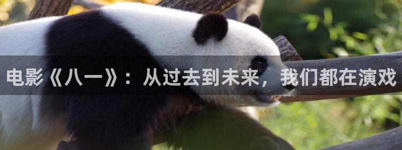 樱桃视频大全免费高清版观看