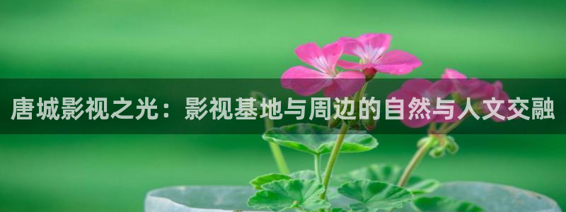 樱桃电影在线免费