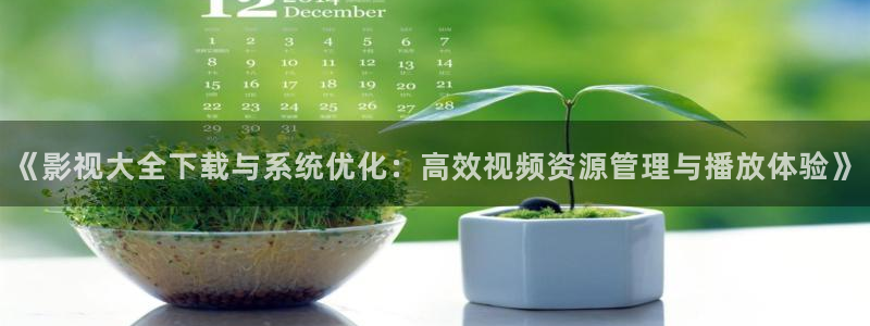 樱桃电视剧全集免费播放：《影视大全下载与系统优化：高效视频资源管理与播放体验》